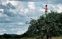 Le Printemps des po&egrave;tes
