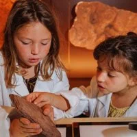 Secrets de fossiles
