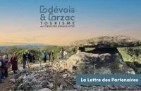 En-t&ecirc;te La Lettre des Partenaires