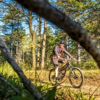 VTT 