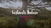 vid&eacute;o instants nature en PCH