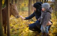 Famille automne
