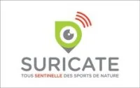 suricate
