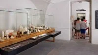 Mus&eacute;e - Dard&eacute;