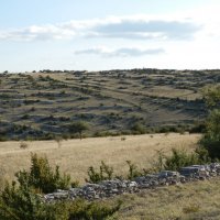 Sorbs vallée sèche