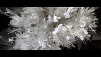 youtube-M94AGxqdZbA-3953666965125996-1739119525