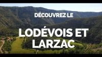 youtube-qo7UYcTJcY4-3961392241171688-1739127253