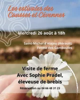 Post insta estivales 2026 (Publication Instagram (4:5)) - 17 &copy; causses et cevennes