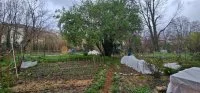 Atelier Jardinons Ensemble &copy; Terre en Partage