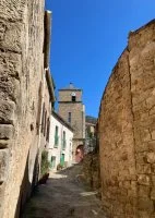 les salces &copy; Prune Gasnault