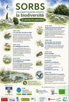 Biodiversit&eacute; Sorbs &copy; CPIE
