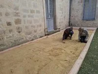 Mega fouille &copy; musee lodeve