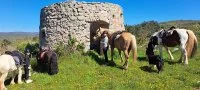Pause panorama &copy; Florence Fix