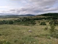 Domaine D&eacute;partemental de la Vern&egrave;de &copy; Camille Cocheret