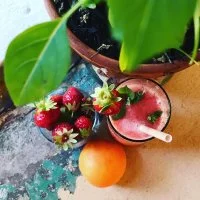 la muse broc fruit &copy;la muse broc 2020