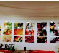 Expo Armando 1 &copy; Alice Thomson Thibault 