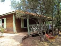 Les oliviers &copy; Relais du Salagou 