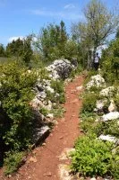 Rando du Sud Larzac0012 @CDRP34 &copy;CDRP34