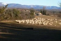 Rando des Rajols-0005 @CDRP34 &copy;CDRP34