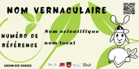 Le Chemin des Arbres Saint-Maurice-Navacelles &copy; Association KERMIT