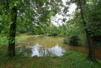 Chemin des Arbres St-Maurice-Navacelles &copy; Association KERMIT