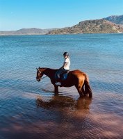 balade a cheval lac du salagou © l'attrape reves 