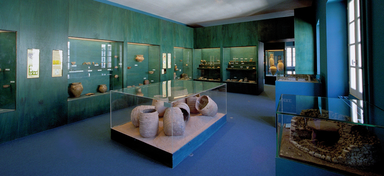 Musée de Lodève, collection Archéologie et Science de la Terre